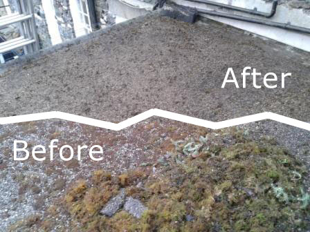 roof cleaning - before and after